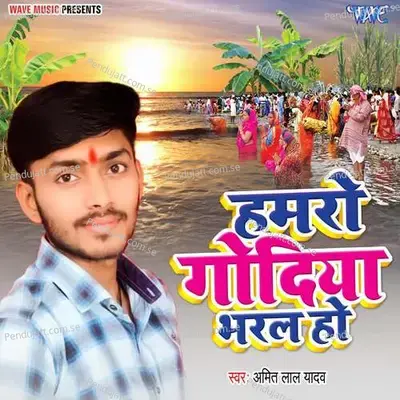 Hamro Godiya Bharal Ha - Amit Lal Yadav album cover 