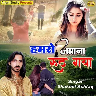 Hamse Jamana Rooth Gaya - Shakeel Ashfaq album cover 