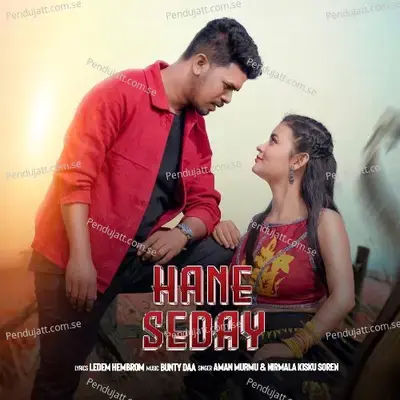 Hane Seday - Aman Murmu album cover 