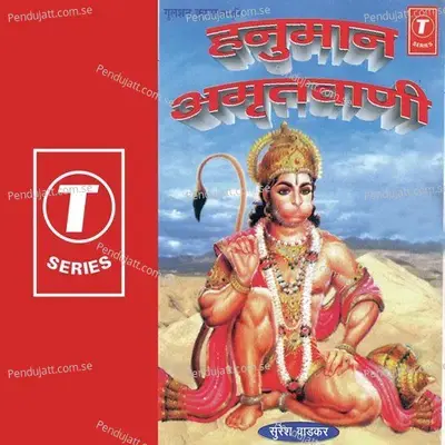 Hanuman Amrutwani - Surender Kohli album cover 