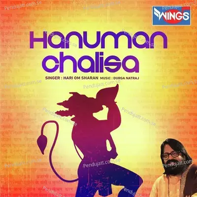 Shree Hanuman Chalisa - Hari Om Sharan album cover 