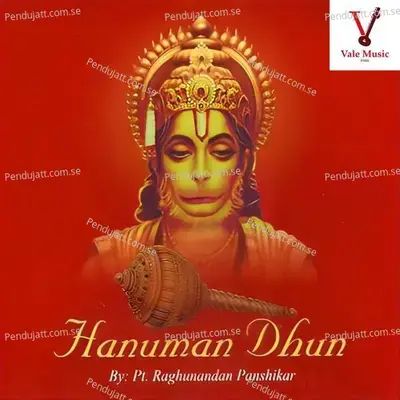 Commentary - Pt. Raghunandan Panshikar album cover 
