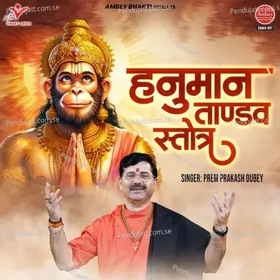 Hanuman Tandav Stotra - Prem Prakash Dubey album cover 