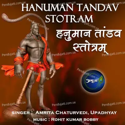 Hanuman Tandav Stotram - Amrita Chaturvedi album cover 