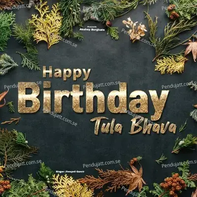 Happy Birthday Tula Bhava - Akshay Burghate album cover 