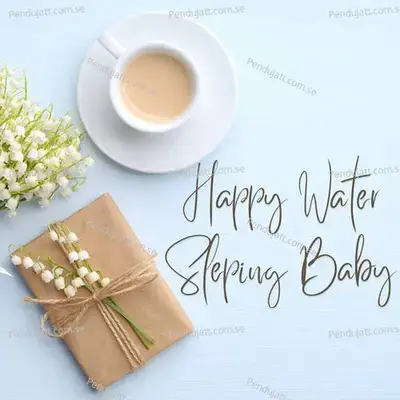 Happy Water Sleping Baby - Lakhan Hire album cover 