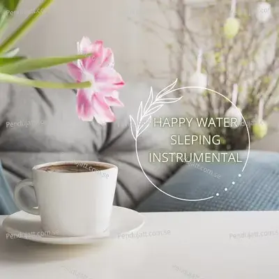 Happy Water Sleping Instrumental - Lakhan Hire album cover 