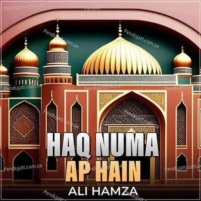 Haq Numa Ap Hain - Ali Hamza album cover 