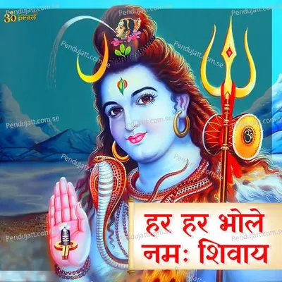 Har Har Bhole Namah Shivay - RB rokade album cover 