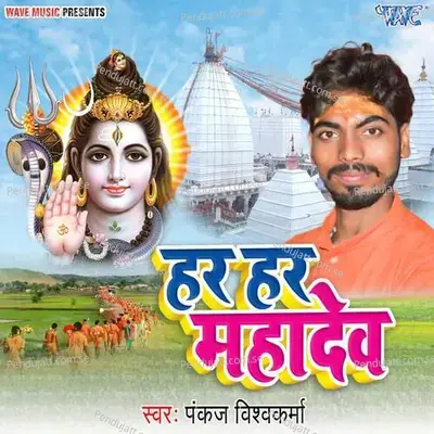 Har Har Mahadev - Raju Singh album cover 