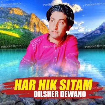 Har Hik Sitam - Dilsher Dewano album cover 