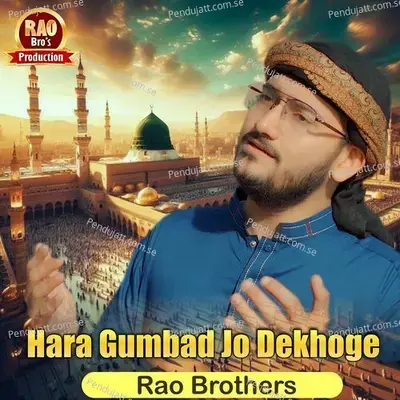 Hara Gumbad Jo Dekhoge - Rao Brothers album cover 