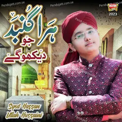 Hara Gumbad - Syed Hassan Ullah Hussaini album cover 