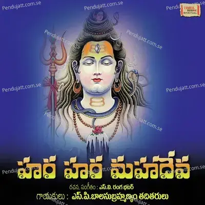 Sheshachala Lingeswara - Surya Prakash album cover 