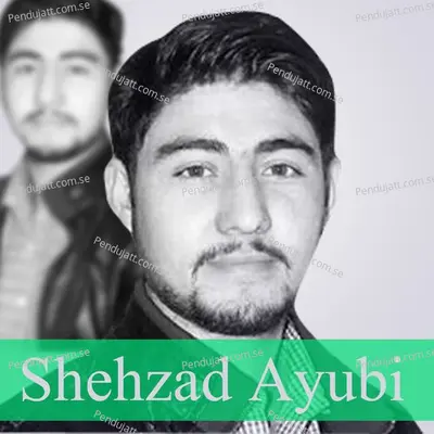 Hardio Arv A Ma Sitamgar - Shehzad Ayubi album cover 