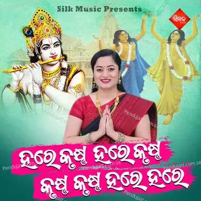 Hare Krushna Hare Krushna Krushna Krushna Hare Hare - Amit Tripathy album cover 