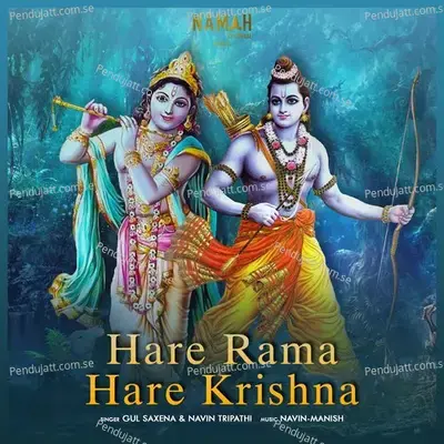 Hare Rama Hare Krishna - Navin Tripathi album cover 