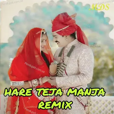 Hare Teja Manja Remix - Aakriti Mishra album cover 