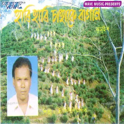 Sarat Basantu Heantu - Dilip Nayak album cover 