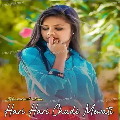 Hari Hari Chudi Mewati - Aslam Mewati Alwar album cover 