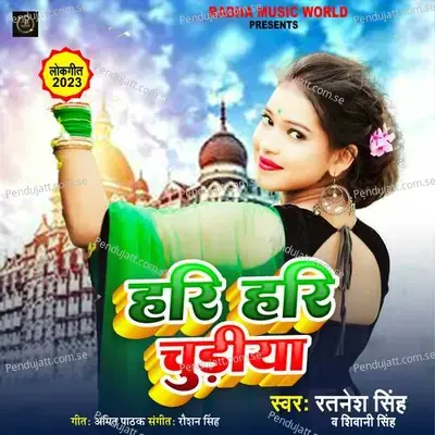 Hari Hari Chudiya - Shivani Singh album cover 