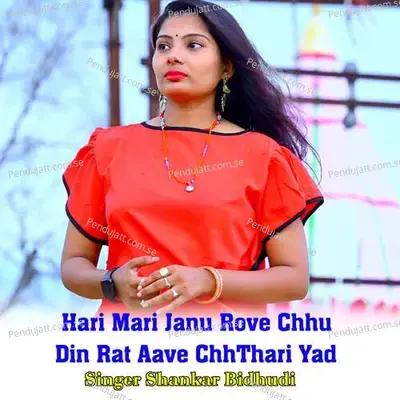 Hari Mari Janu Rove Chhu Din Rat Aave Chhthari Yad - Shankar Bidhudi