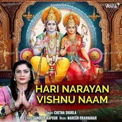 Hari Narayan Vishnu Naam - Chetna Shukla album cover 