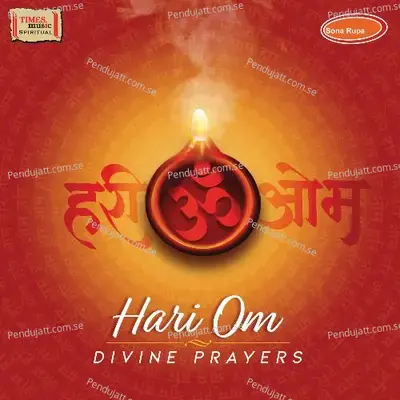 Om Namah Shivay - Anup Jalota album cover 