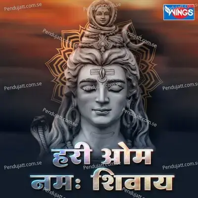 Hari Om Namha Shivay - Rahul Saxena album cover 