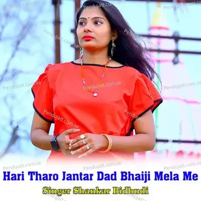 Hari Tharo Jantar Dad Bhaiji Mela Me - Shankar Bidhudi