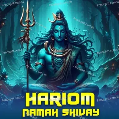 Hariom Namah Shivay - Vijay Josi album cover 