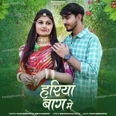 Hariya Bagh Me - Salim Shekhawas