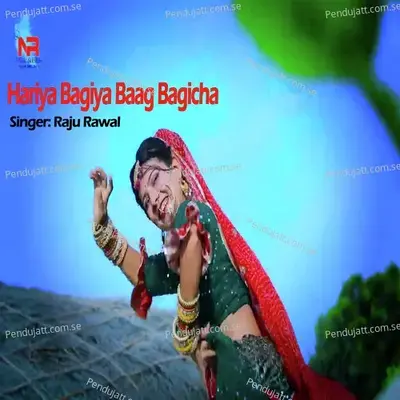 Hariya Bagiya Baag Bagicha - Raju Rawal album cover 