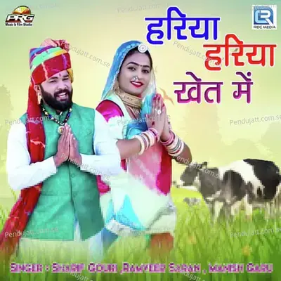 Hariya Hariya Kheta Mein - Sharif Gouri album cover 