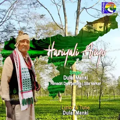 Hariyali Aiyo - Dulal Manki album cover 