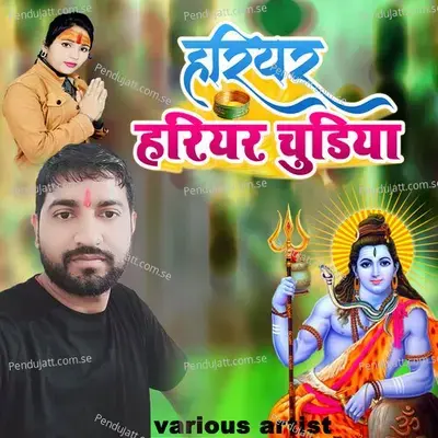 Hariyar Hariyar Chudiya - Sangeeta Ojha album cover 