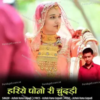 Hariye Pono Ri Chundri - Ashok Rana Gopadi album cover 