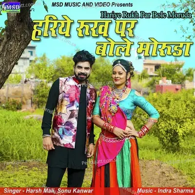 Hariye Rukh Par Bole Moruda - Harsh Mali album cover 