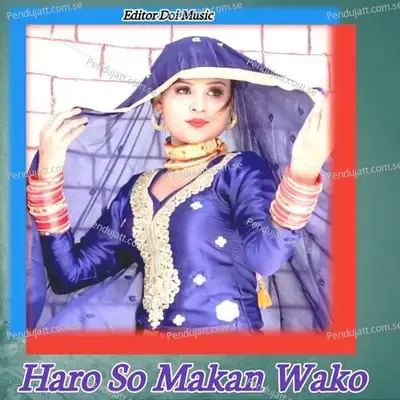 Haro So Makan Wako - Aslam Singer Mewati cover album