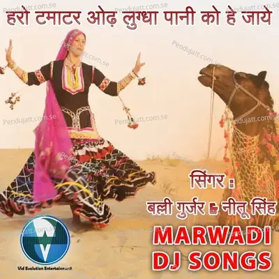 Haro Tomator Odh Lugdha Pani Ku He Jaye - Balli Bhalpur album cover 