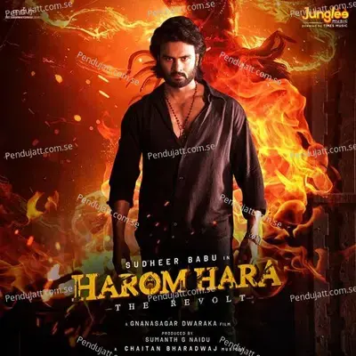 Harom Harom Hara - Chaitan Bharadwaj album cover 