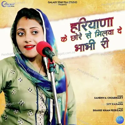 Haryana Ke Chhore Se Milva De Bhabhi Re - Sandhya Choudhary album cover 