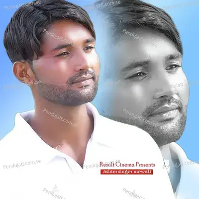 Haryana Ke King - Aslam Singer Mewati album cover 