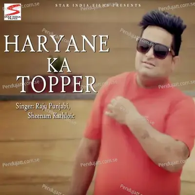 Haryane Ka Topper - Raju Punjabi album cover 