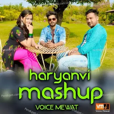 Haryanvi Mashup - Tarik Aziz album cover 