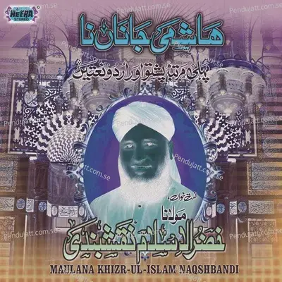 Hashmi Janan - Maulana Khizr Ul Islam Naqshbandi cover album