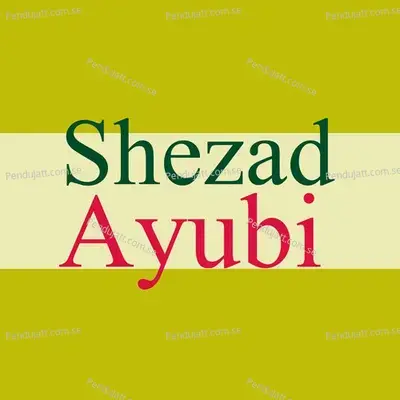 Hasi Khoshan - Shehzad Ayubi album cover 