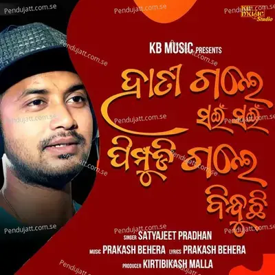 Hati Gale Sain Sain Pimpudi Gale Bindhuchi - Satyajeet Pradhan album cover 