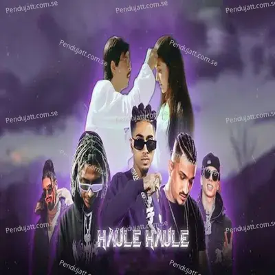 Haul Haule - MC STAN album cover 