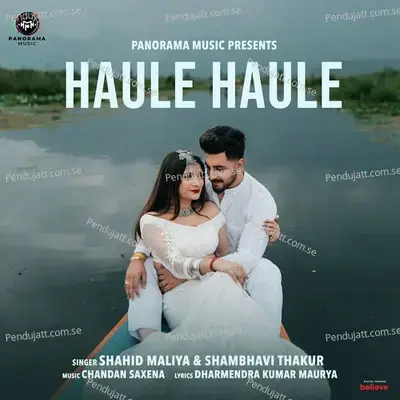 Haule Haule - Shahid Mallya album cover 